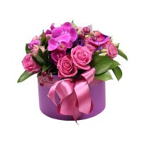 Flower box Famingo Kat