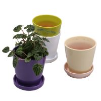  Bouquet Ceramic pot
														