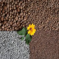 Soil, drainage, fertilizer