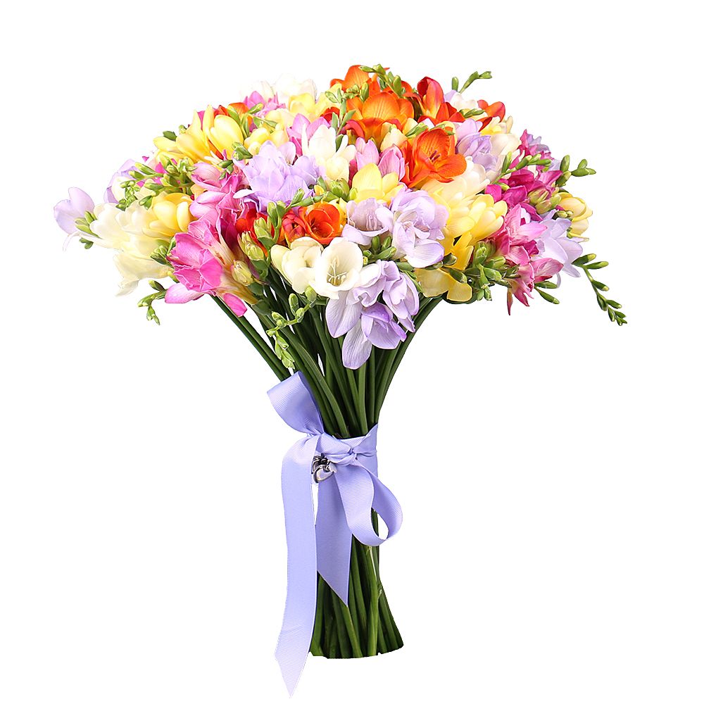 Of the 65 multi-colored freesias Snjatin