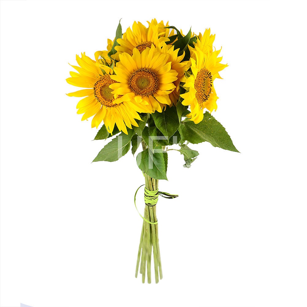  Bouquet Of sunflowers
													