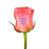 Желаем здоровья, счастья и удачи! Луганск