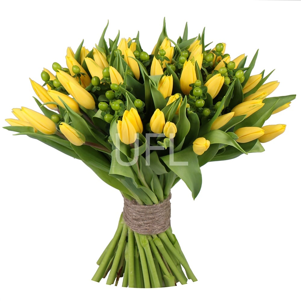 Желтые тюльпаны 51 шт Ческа-Скалице