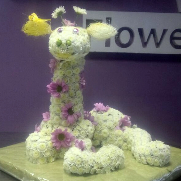 Букет цветов Жираф
													