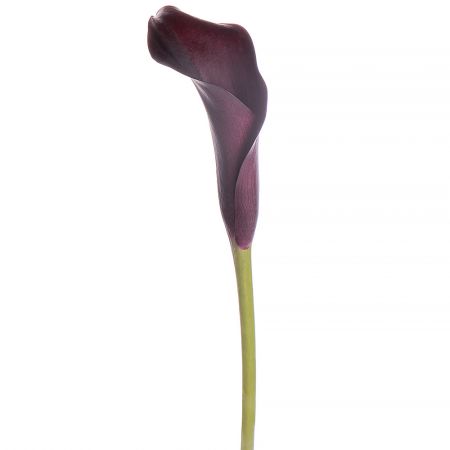 Piece purple calla Oxford