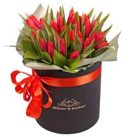 Коробка з тюльпанами Альбіон