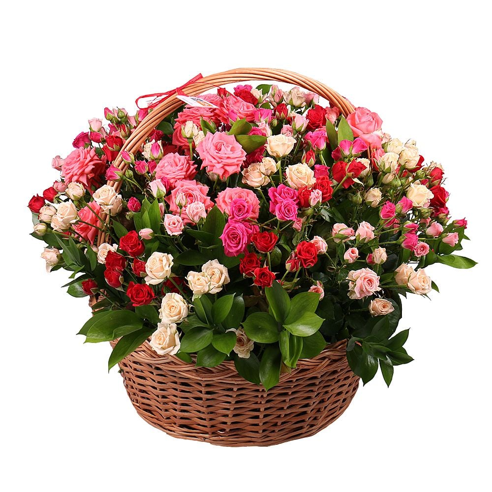 Basket with roses Vishnevoe