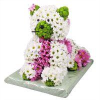 Котик из цветов Алма-Ата