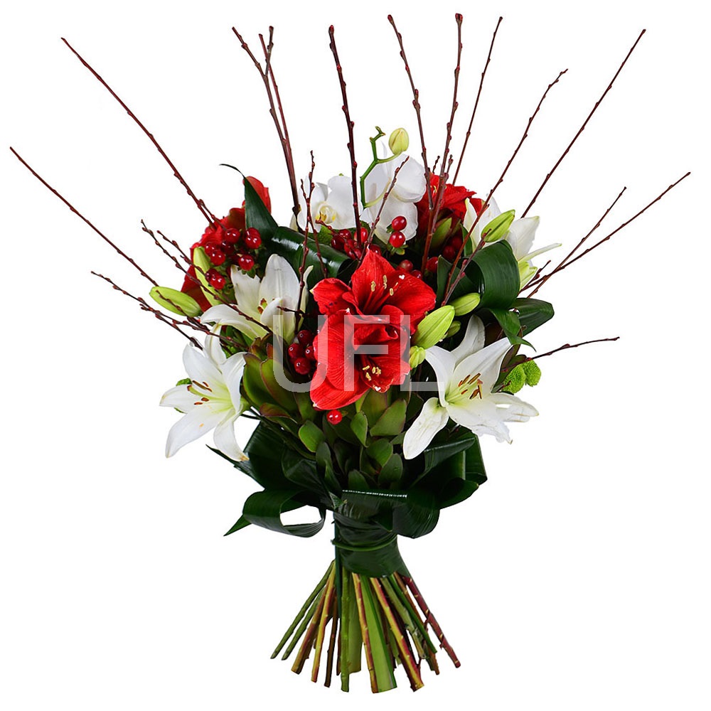 Red and White Exotic Lugansk