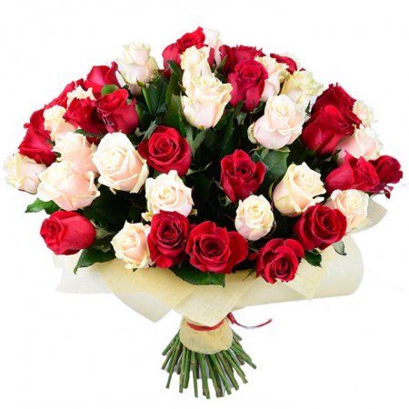 Красно-кремовые розы (51 шт.) Полонное