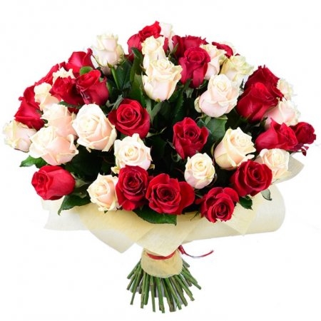 Red and cream roses (51 pcs.) Firenze