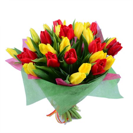 Красные и желтые тюльпаны Одесса