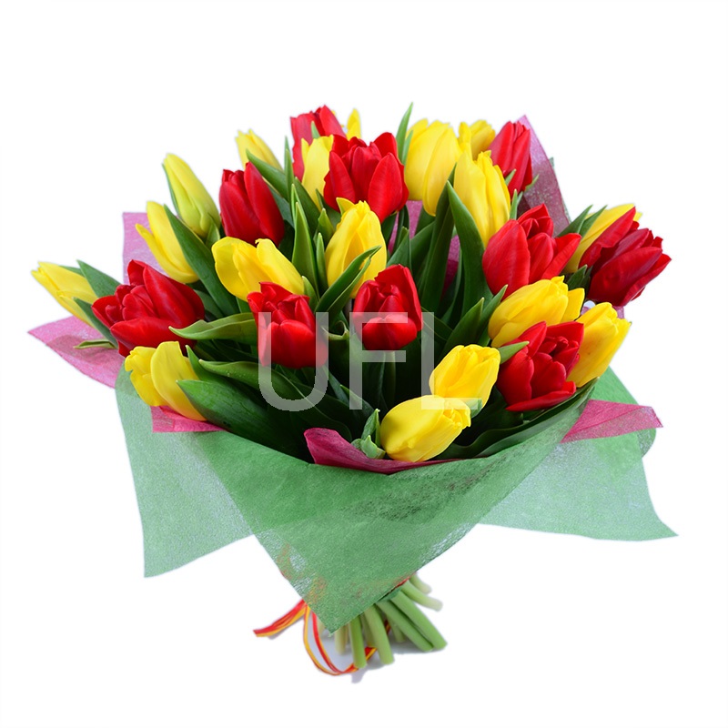 Red and yellow tulips