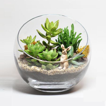 Succelent Forest in a Vase