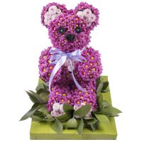  Bouquet Purple bear Dayman
														