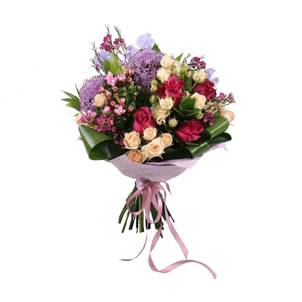 Lilac daybreak 0 €