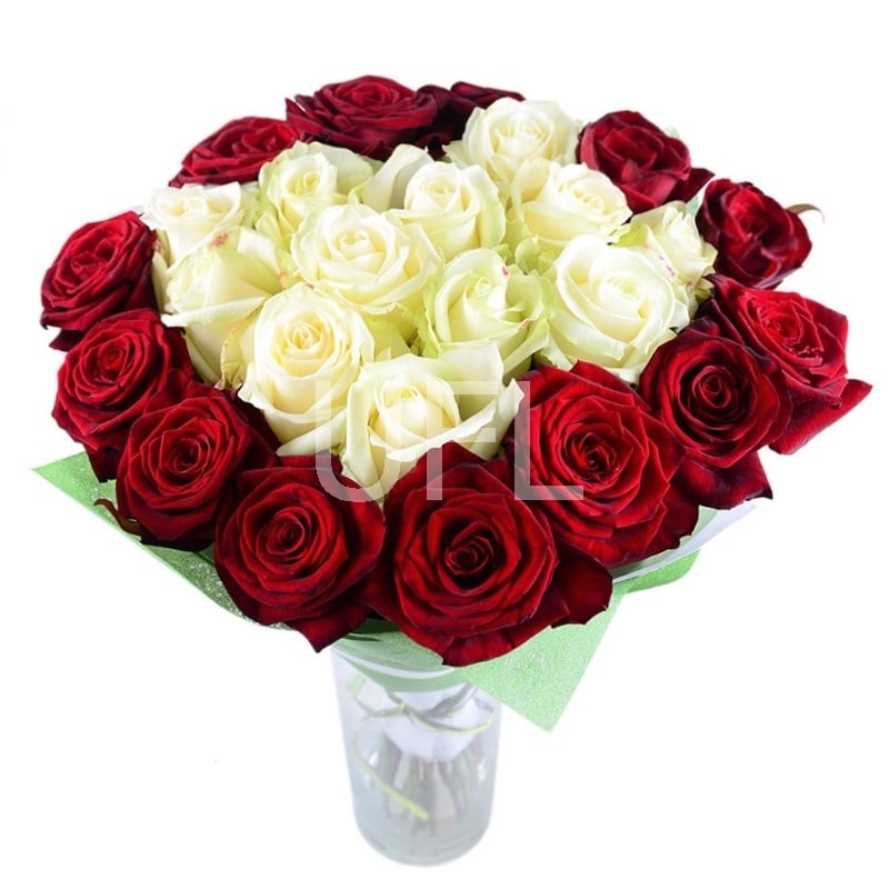 25 красно-белых роз Берёзовка ru