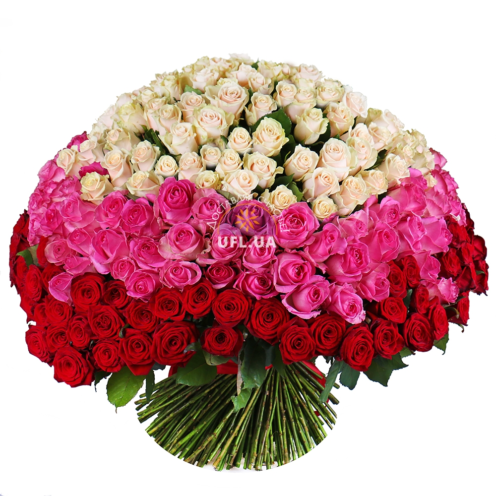 Magic ball of 303 roses