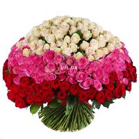 Magic ball of 303 roses Sofievka