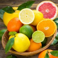 Mix of citrus fruit Vinnitsa