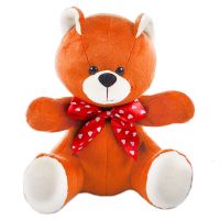 Bouquet Teddy Ted Saale
														