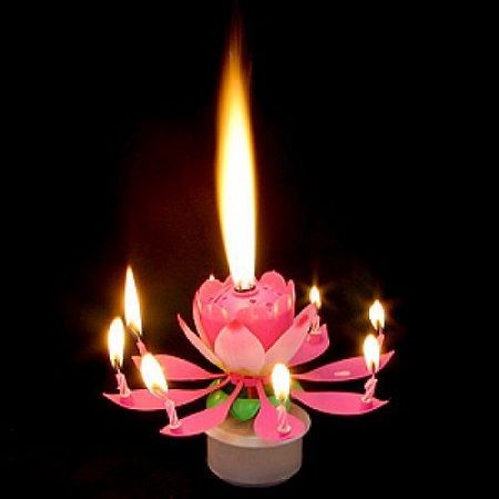 Musical Candle Lotus