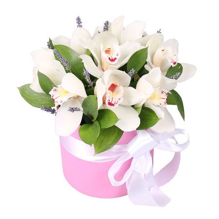 Flower box Tenderness of orchids Kyiv - Teremki