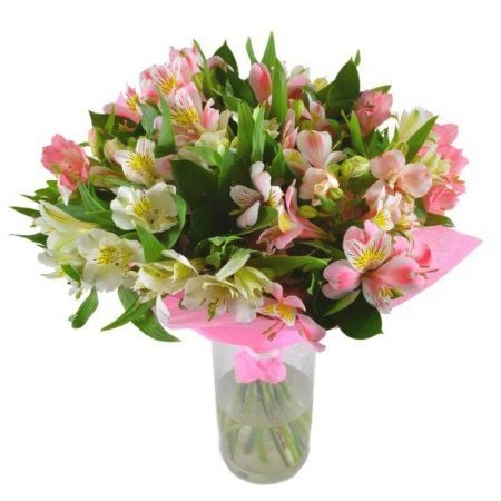 Spring tenderness (wholesale) Pesciano