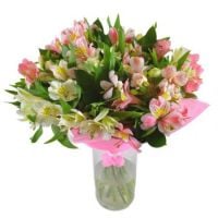 Spring tenderness (wholesale) Caboolture