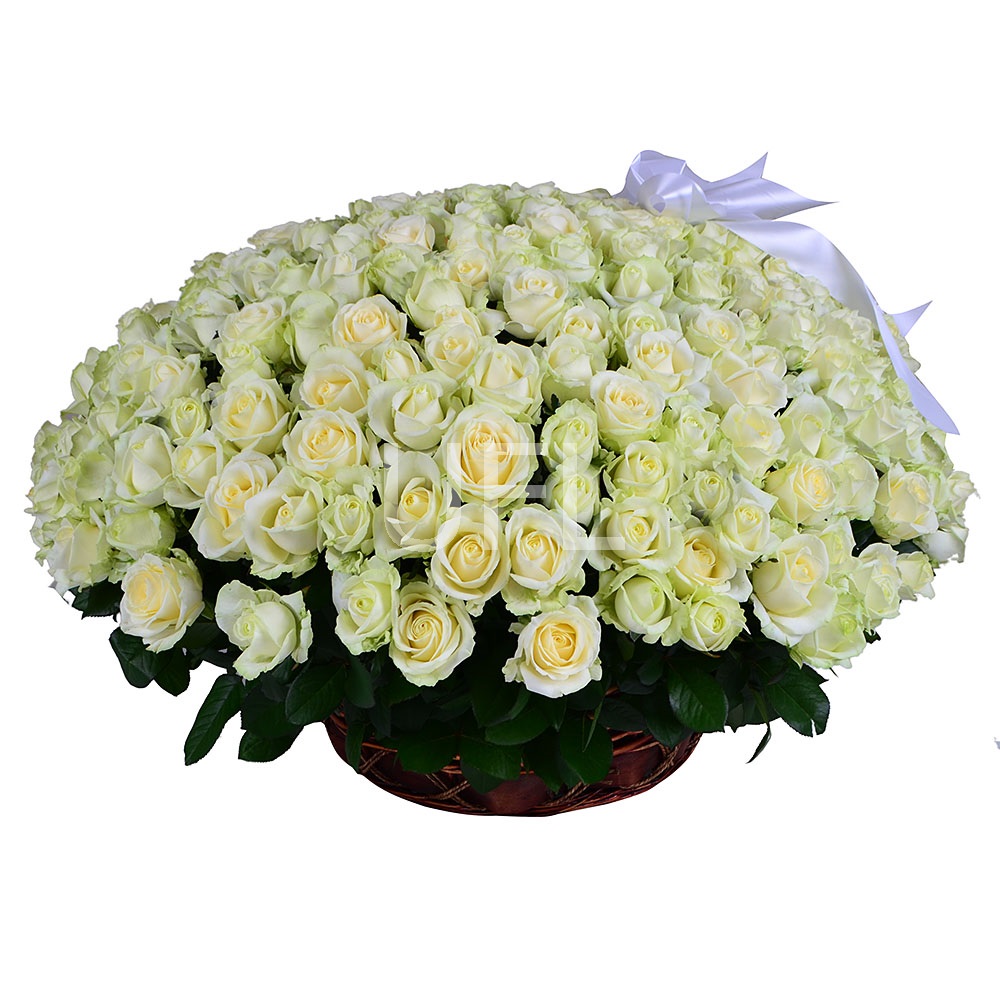 Корзина цветов 301 роза 0 €