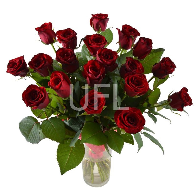 19 red roses Kiev