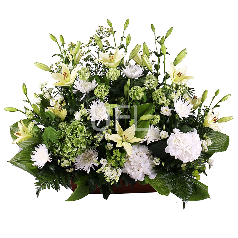 Basket of white flowers