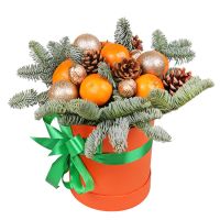 Christmas box with tangerines  Rovno