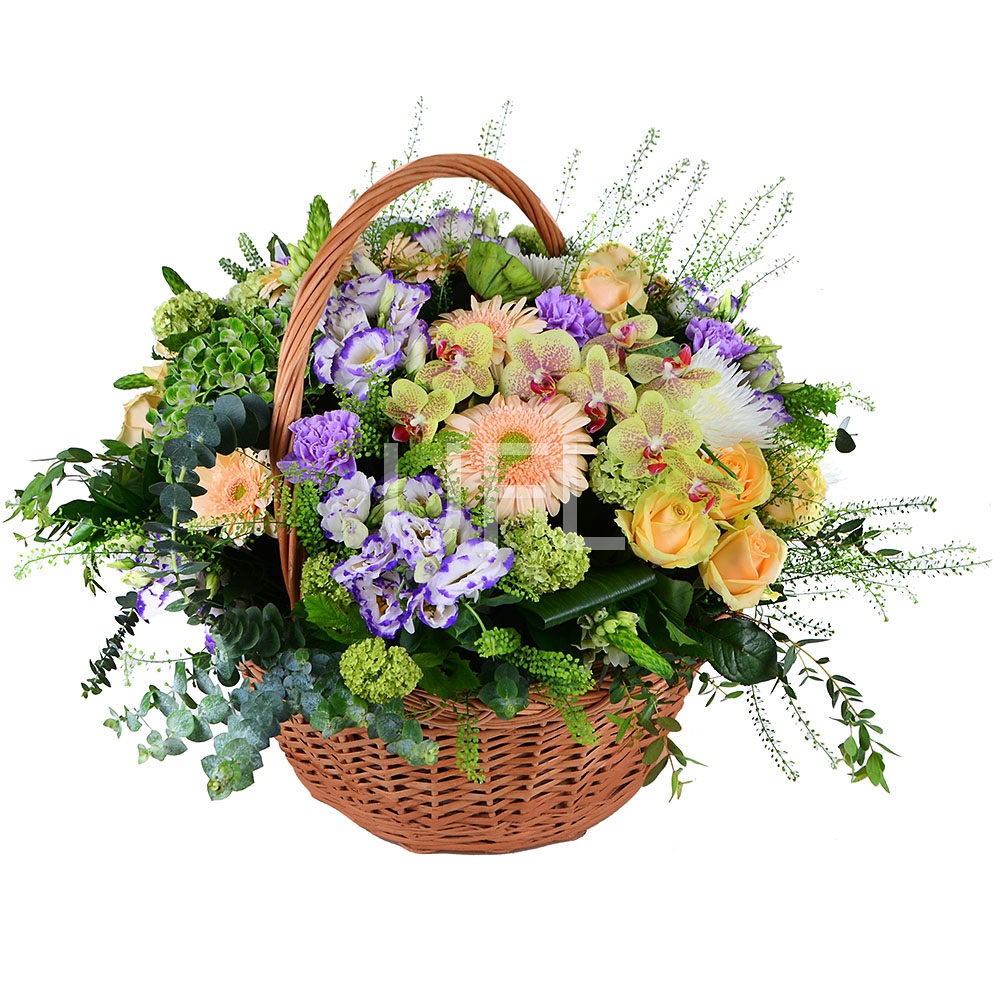 Garden in basket