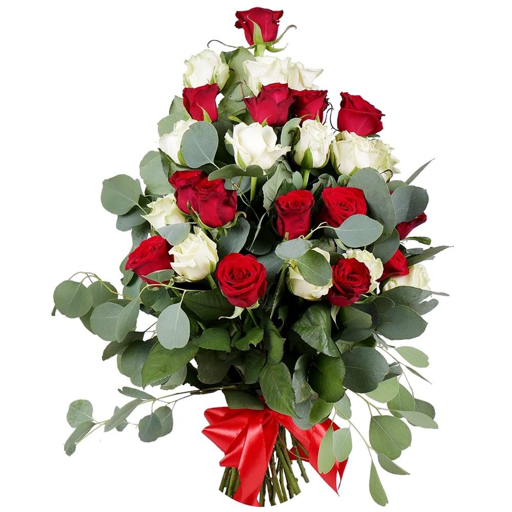 Червоно-біла хмара 266 $