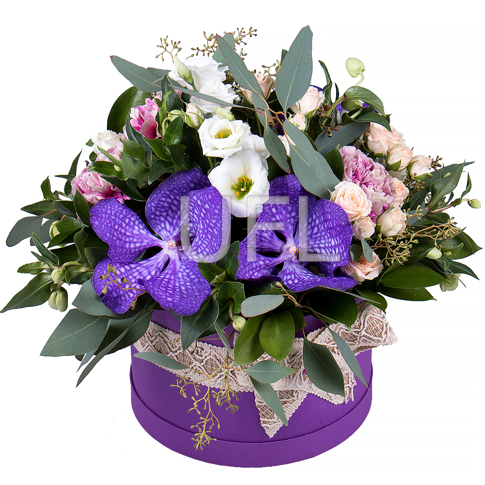  Bouquet Arrangement Juno
													