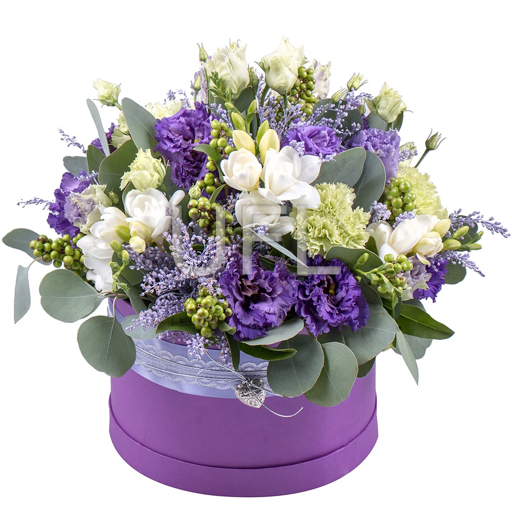 Blueberry night 185 €