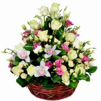  Bouquet Pretty basket Natanya
														