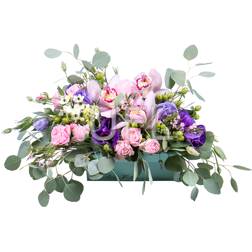 Arrangement Colorful dreams Arrangement Colorful dreams