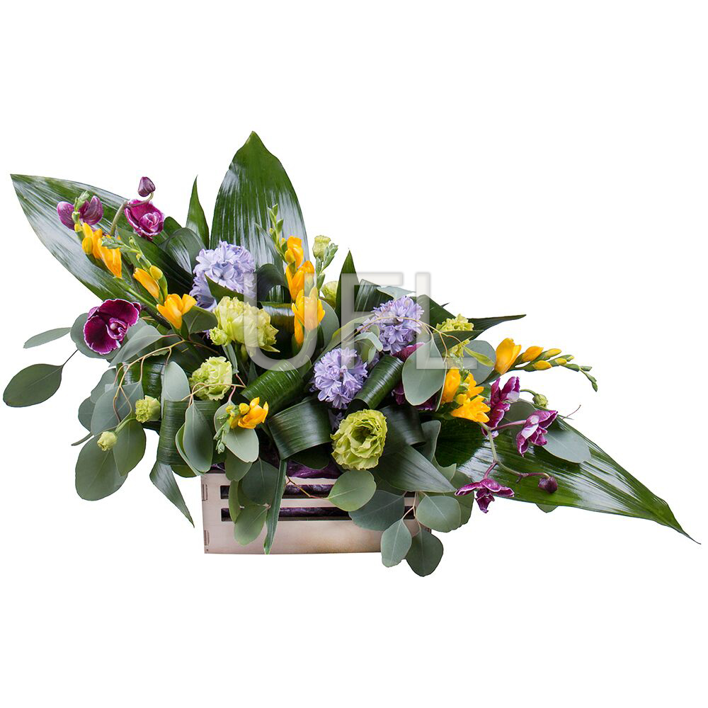  Bouquet Bright Mifrid
													