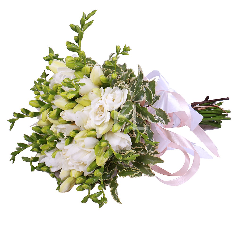 Bouquet of freesies Sakiai