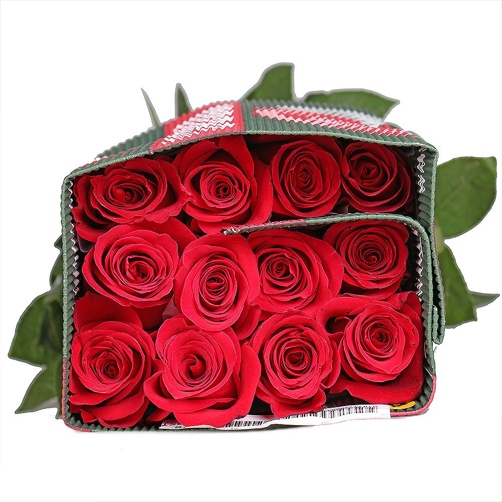 Wholesale Rose Freedom (Ecuador) Wholesale Rose Freedom (Ecuador)