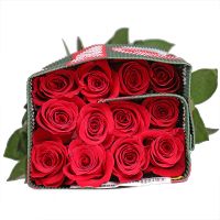 Wholesale Rose Freedom (Ecuador)