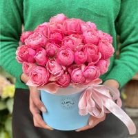 Peony roses in a box Cypress