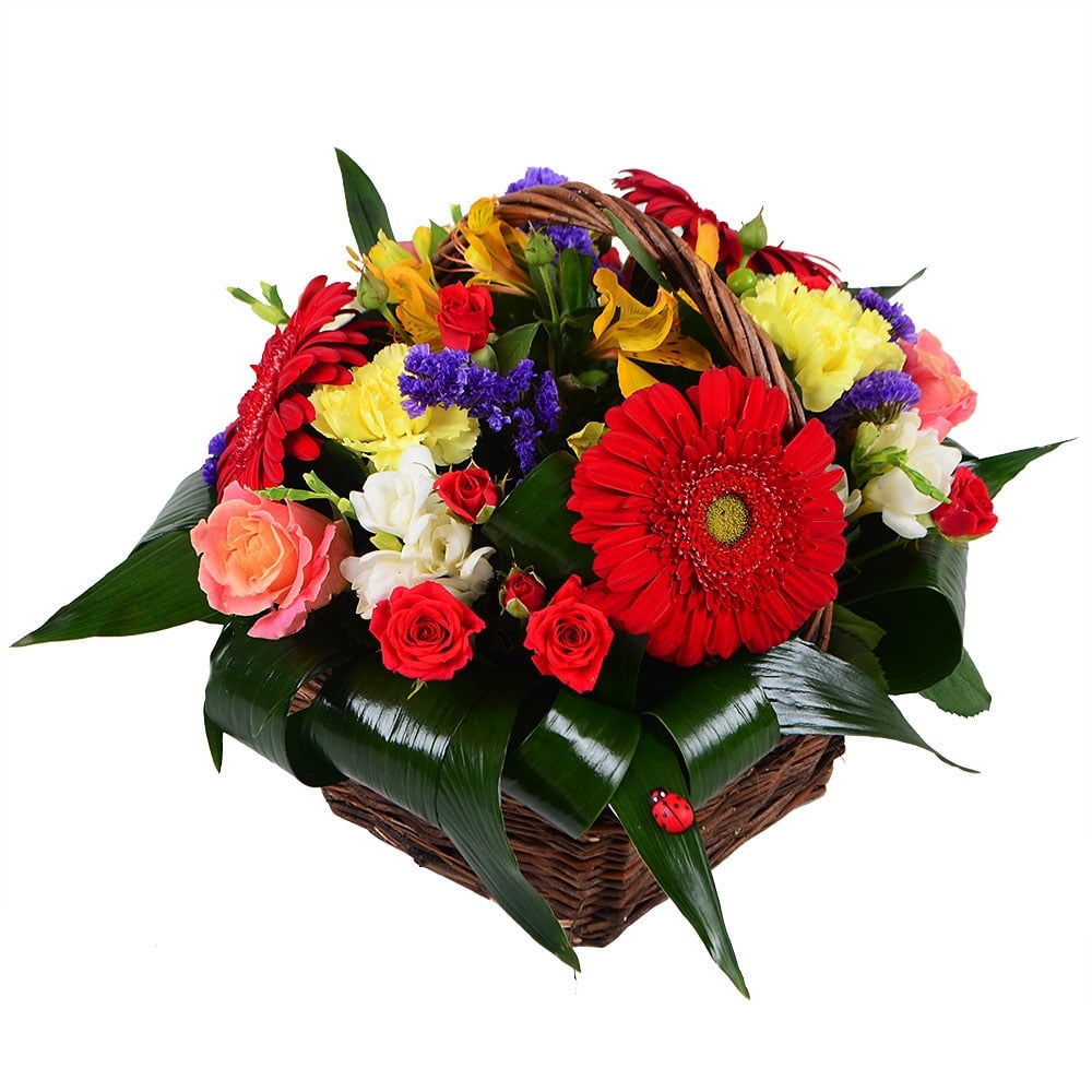 Gift flower basket Gift flower basket