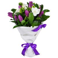 Bouquet of flowers Snowdrop Mariupol (delivery currently not available)
														