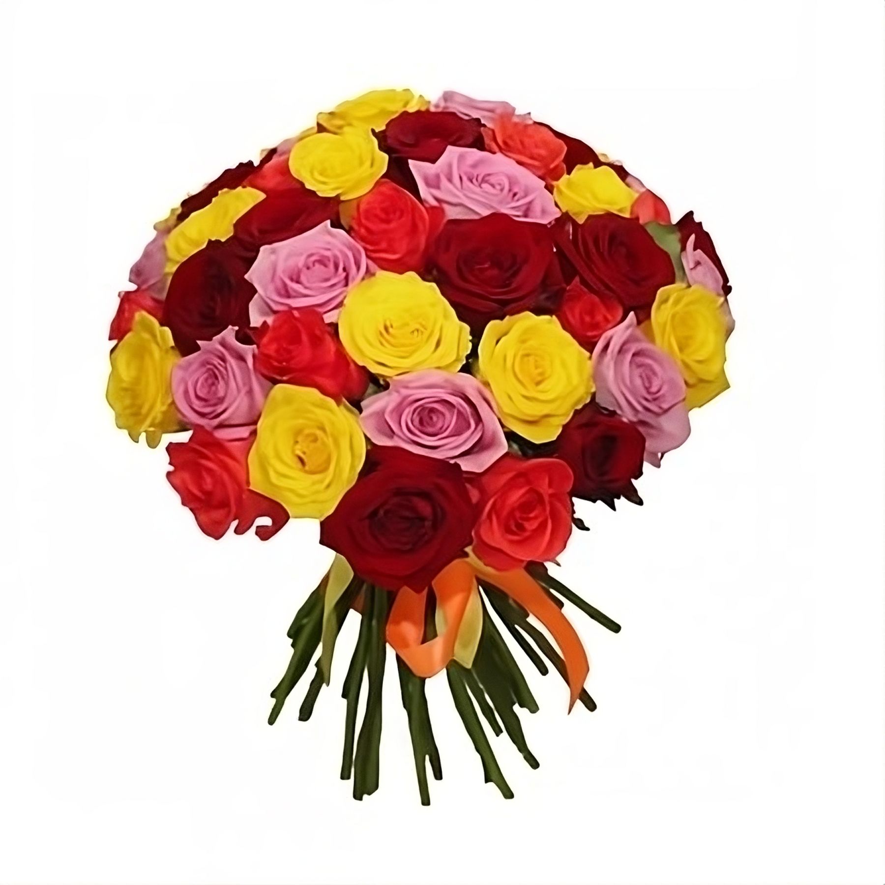 Разноцветные розы 25 шт