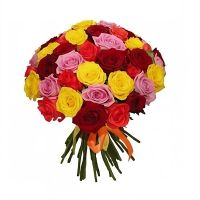 Multicolored rose 25 pc Aktobe