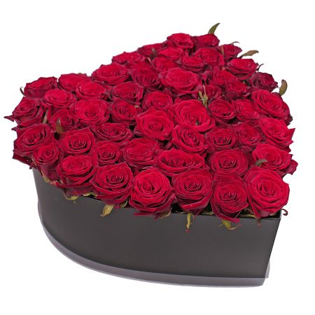 51 roses in a box Recife