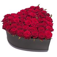 51 roses in a box Tullnerbach